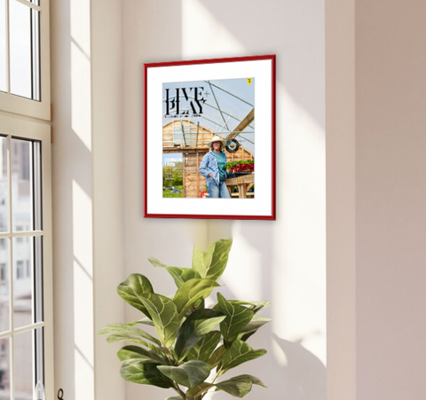 Framed Prints
